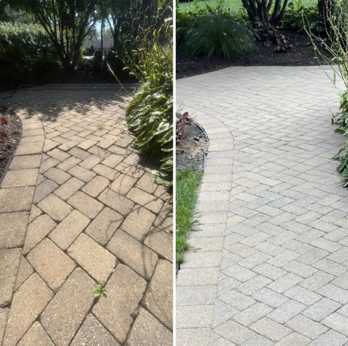 Covered patio pavers before and after weed removal